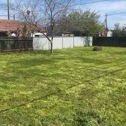 Lawn Care/ Dump removal 