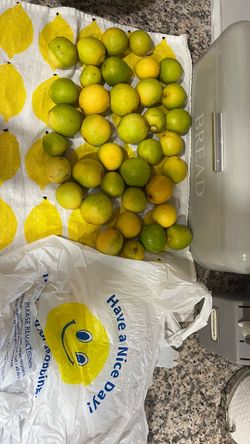 Fresh Backyard Citrus Fruit 🍋 — Picked and Bagged