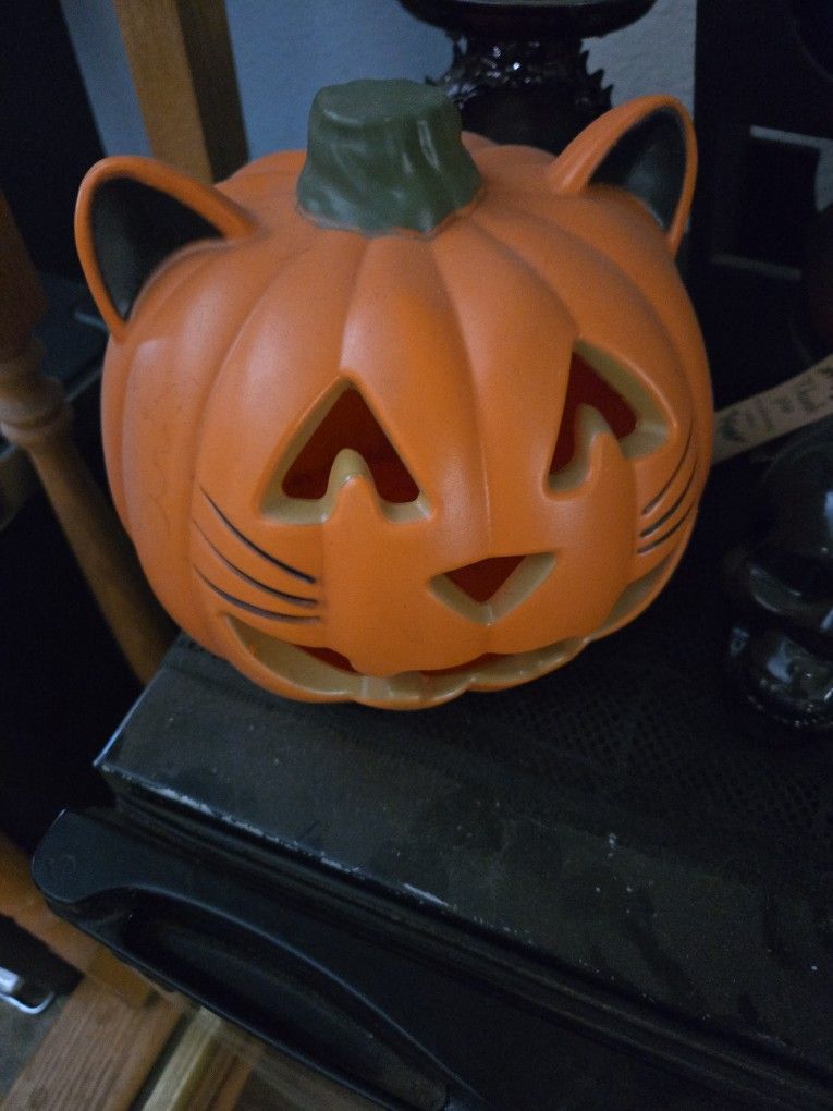 cat jack-o'-lantern Orange And Black