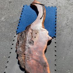 Redwood Burl Project Piece 