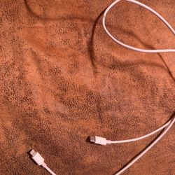 iPhone charger