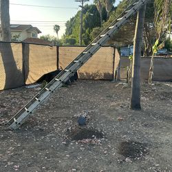Extension Ladder 24’