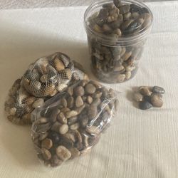 River Rock - Approximately 25 Lbs.