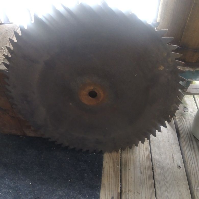 28" Buzz Saw Blade