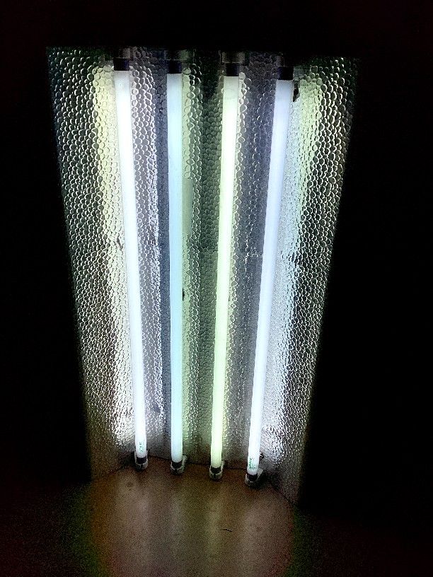 22.5" T5 Grow Light