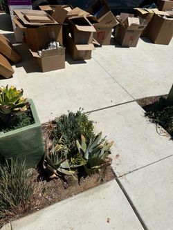 FREE Assorted moving and storage boxes