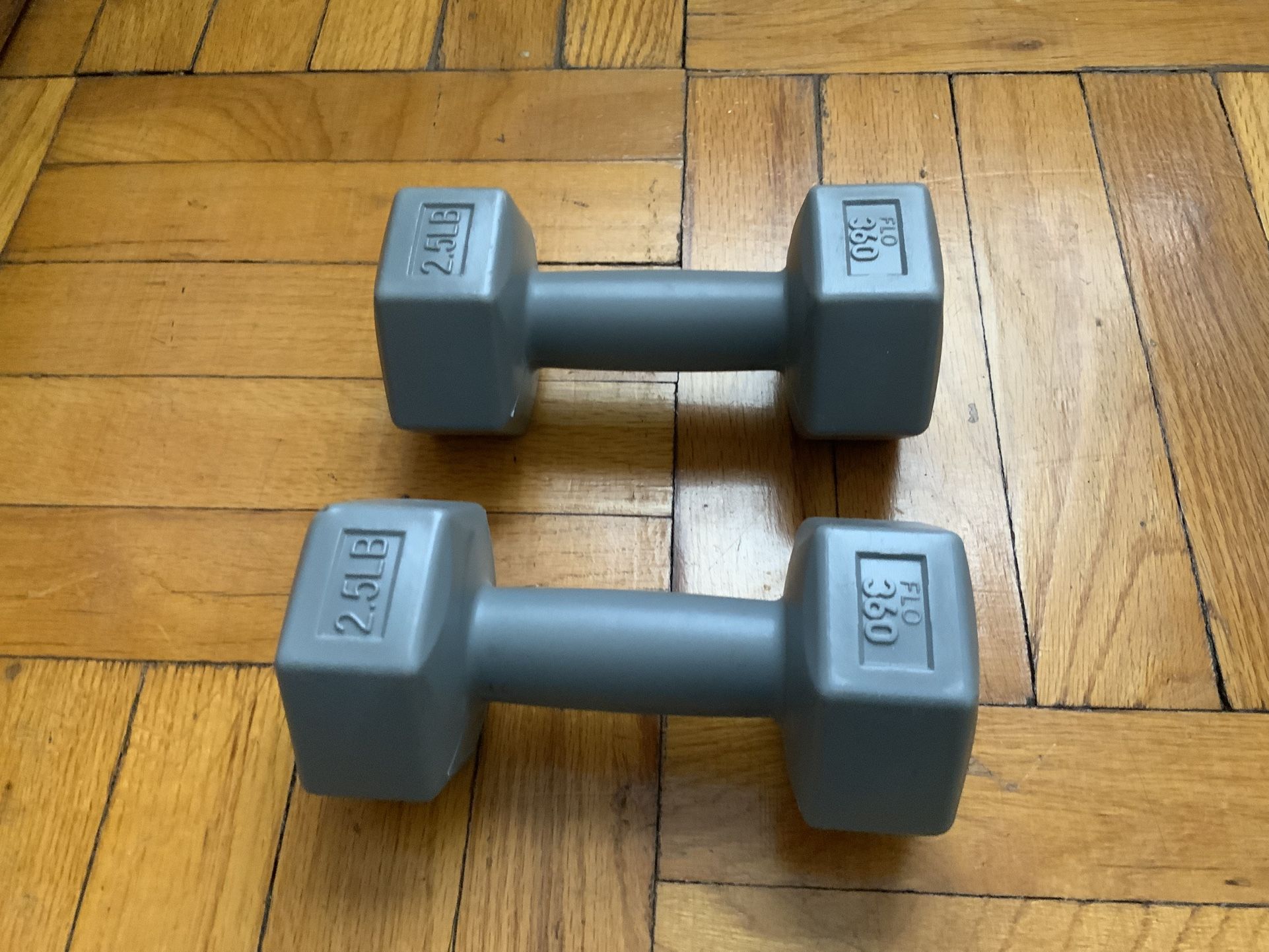 2.5lb Dumbbell Weights PAIR Total:5 lb
