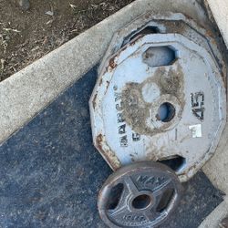 Two 45 pound weights 10 pound weight