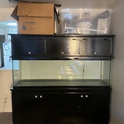 Fish Tank/ Stand 