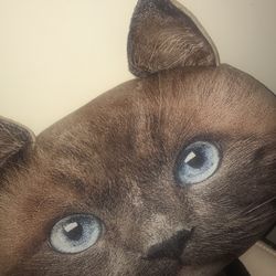 Cat Pillow 