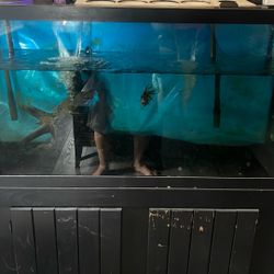 90 gallon Fish Tank