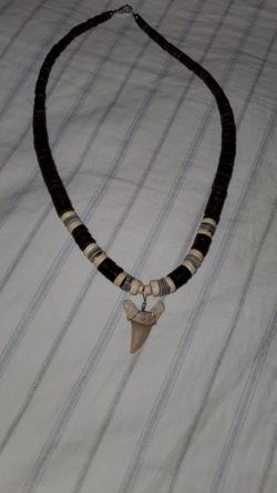 Real Shark Tooth Necklace