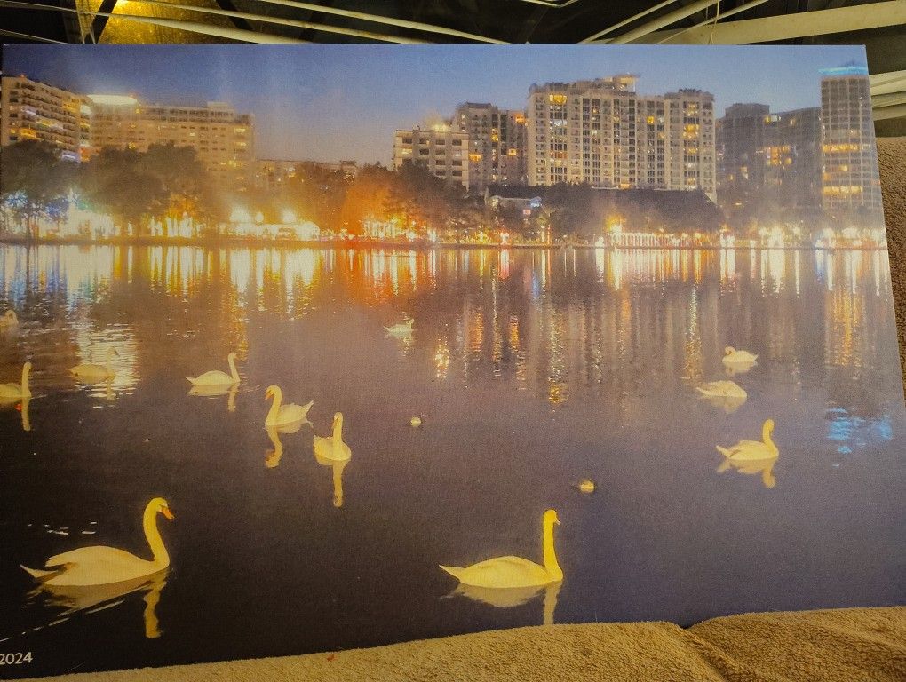 Canvis Painting Of Lake Eola , Downtown!!