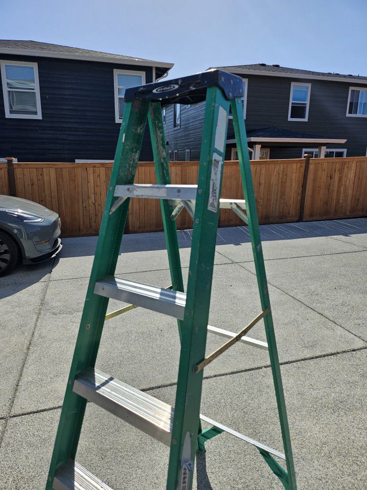 Free Werner 6' Ladder