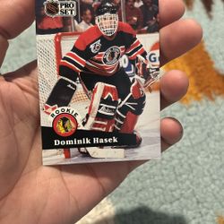 Dominik Hasek