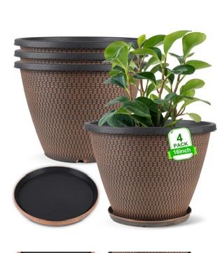 Flower Pots
