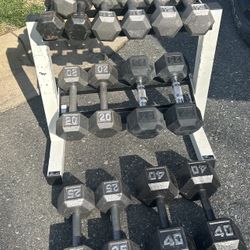 Dumbbells with Rack 