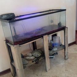 Tetra Aquarium Tank, To Tetra Pumps And Filter, Cartridges Accessories With Wooden Stand