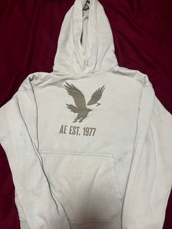American Eagle Relaxed Fit Graphic Hoodie