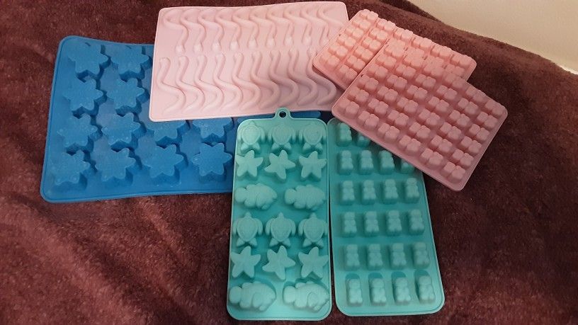 6 Silicone Molds