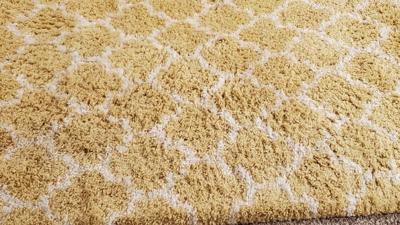 Area Rug / Carpet