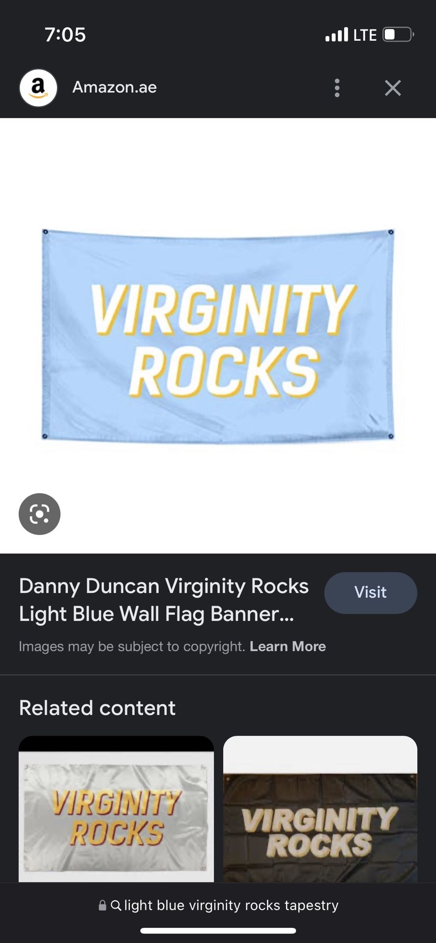 Virginity Rocks Tapestry