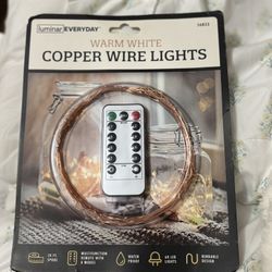Copper Wire Lights 