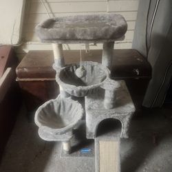 Cat House 