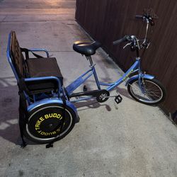 6-Speed Tricycle “Tri-Rider Buddy Trike”