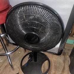 Fan