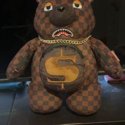 Spray-ground Teddy bear