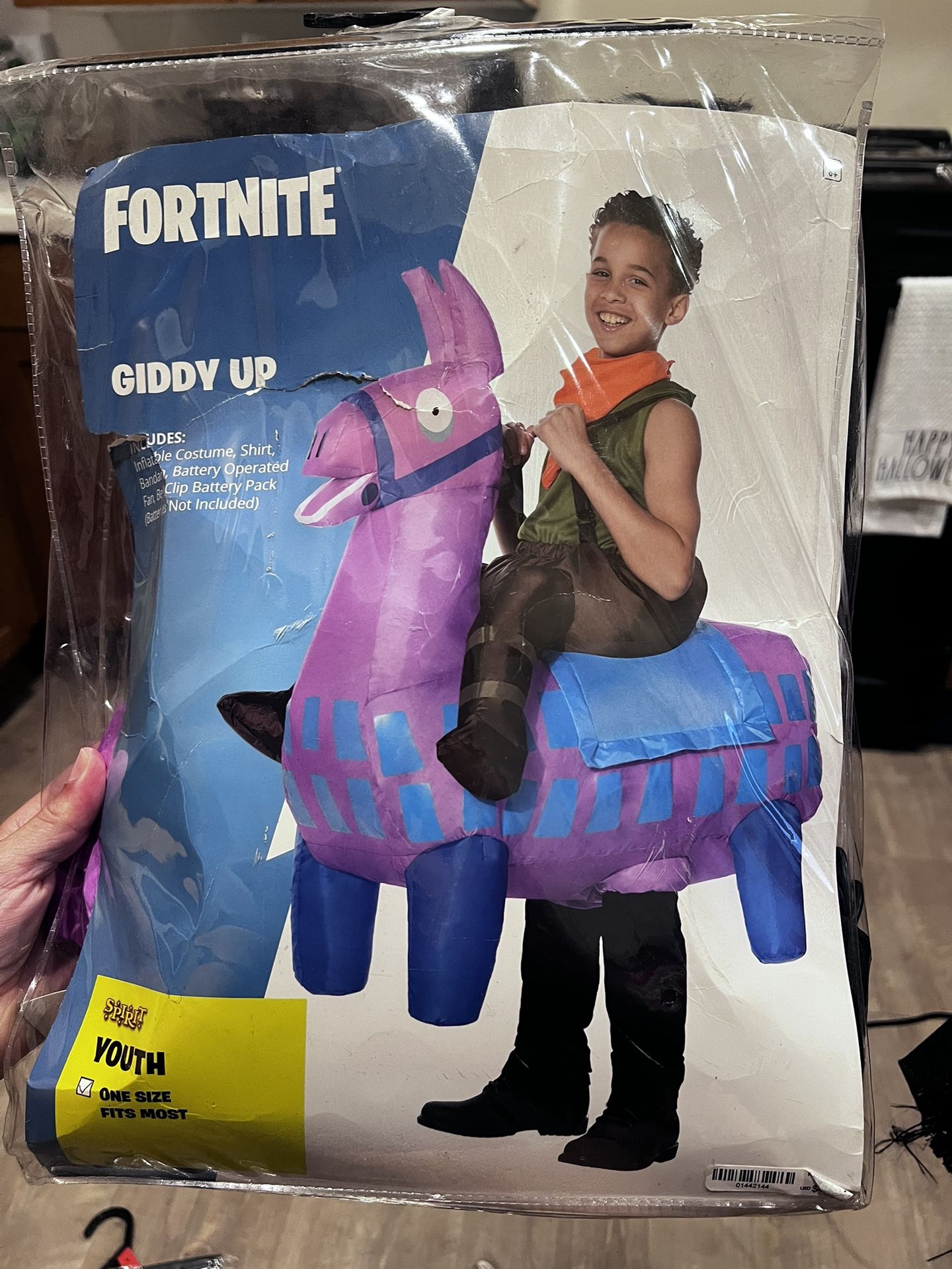Fortnite Costume $30