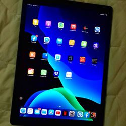 iPad Pro 2nd Gen 12.9 Inch 256 GB Wi-Fi PRICED TO SELL