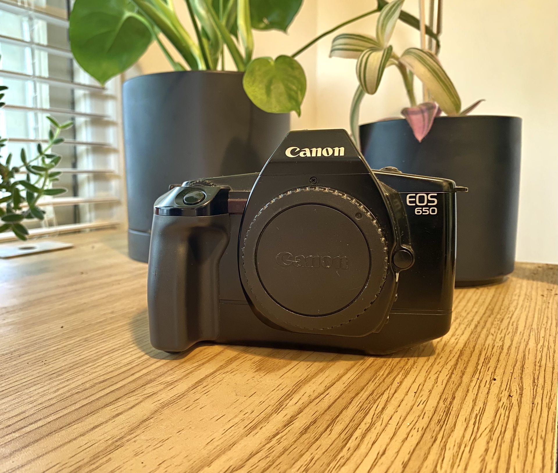 Canon EOS 650 35mm Film Camera