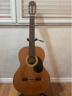 Acoustic Concert Guitar