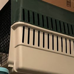 Dog Cage 
