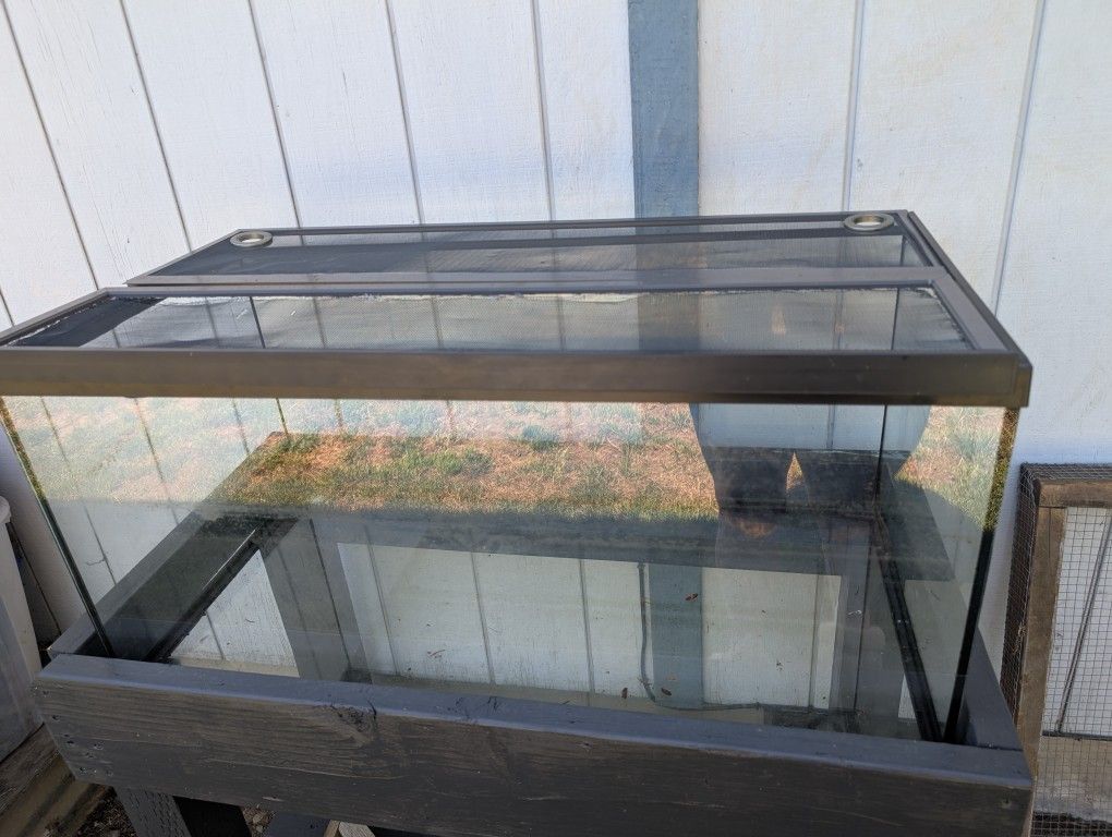 40 Gallon Fish tank