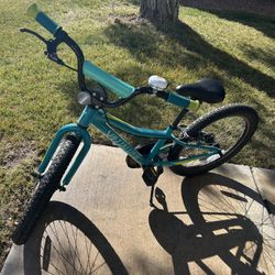 Child Bike - Specialized Brand In Teal Bike 