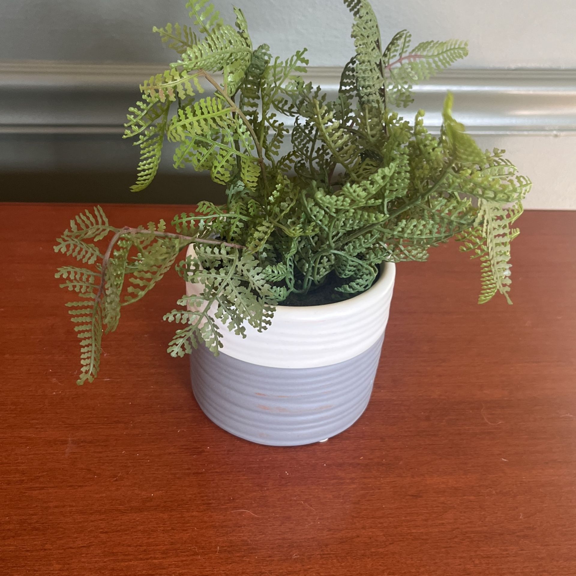 Cute Faux Succulent Plant Grey And White Pot