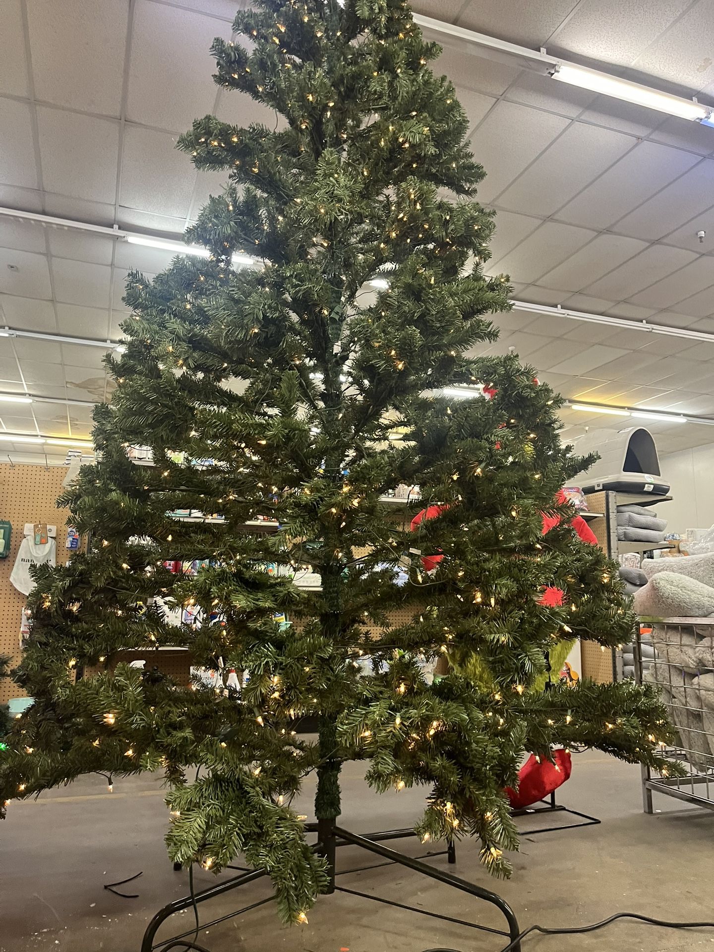 Pino De Navidad 12ft