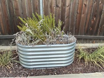 Metal Raised garden bed