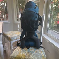Evenflow Baby Carrier Trailtech baby Backpack (Teal)