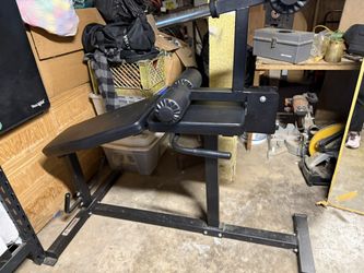 titan leg curl and leg extension