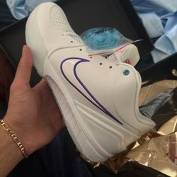 Kobe 5 Proto Draft Pack Charlotte hornets