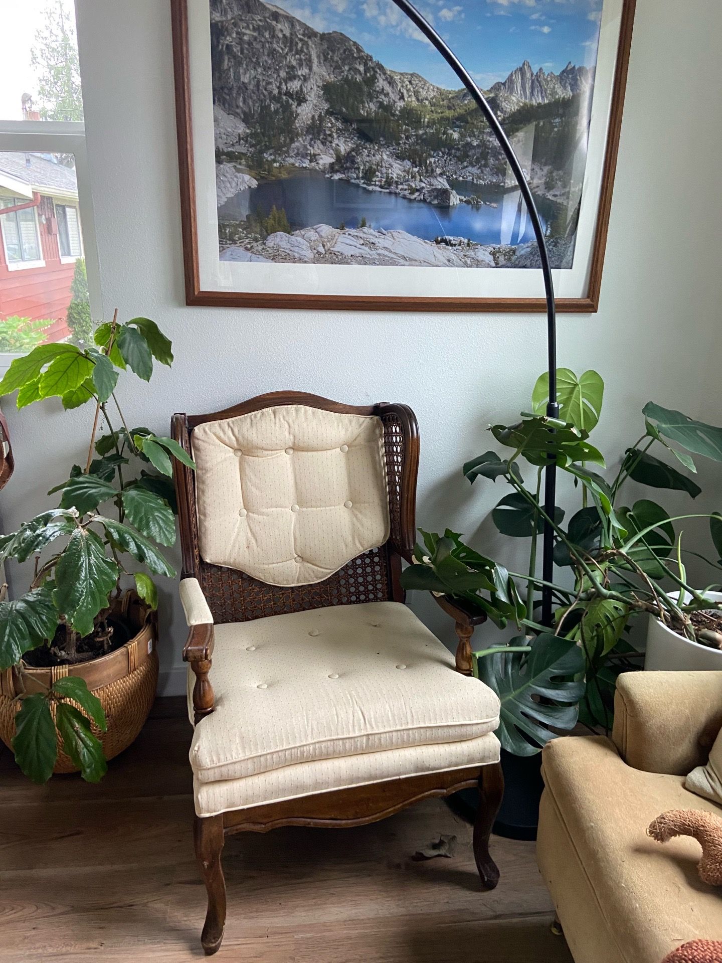 Vintage cane chair