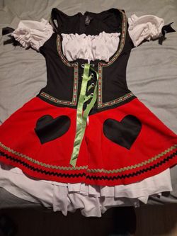 Costume  adult  size