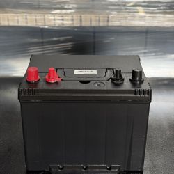 🔋 Grupo 24 Marine Deep Cycle EverStart / Interstate para Botes ⚡