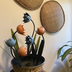 Fountain Tulip Flower 