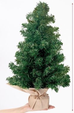 New groovy small tree 20 inch