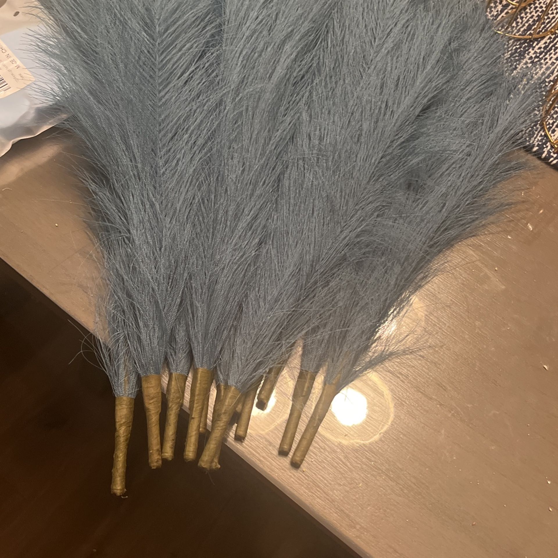 Pampas grass Blue 